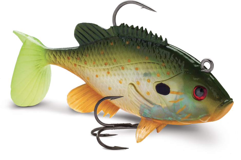 WildEye® Live Sunfish