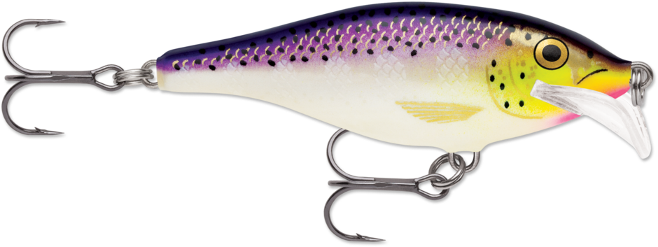 Scatter Rap® Shad