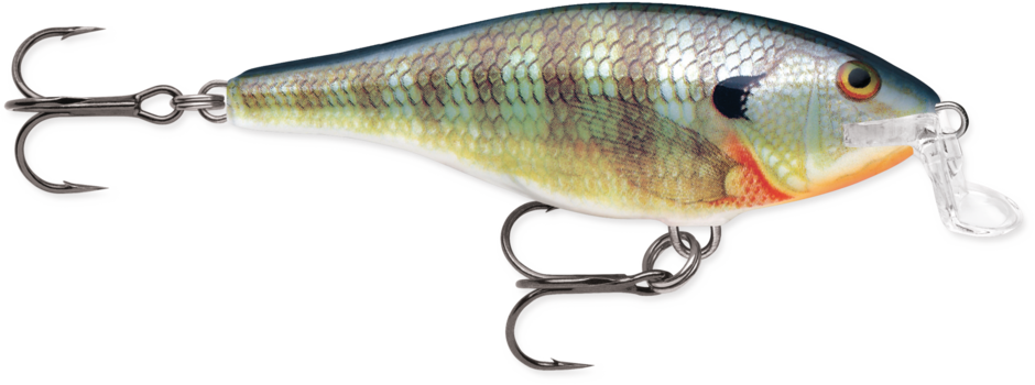 Shallow Shad Rap®