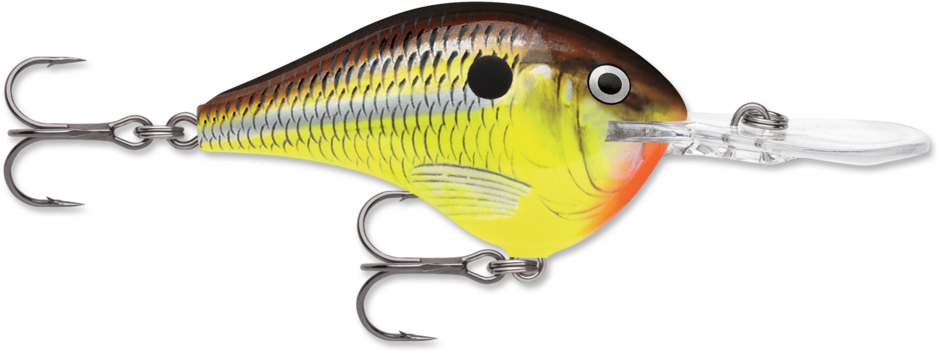 DT® (Dives-To) Series