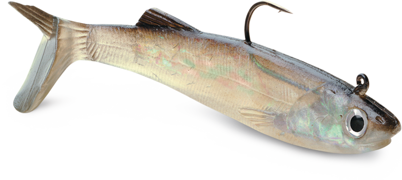 WildEye® Live Anchovy F6