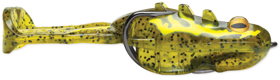 Surge Frog