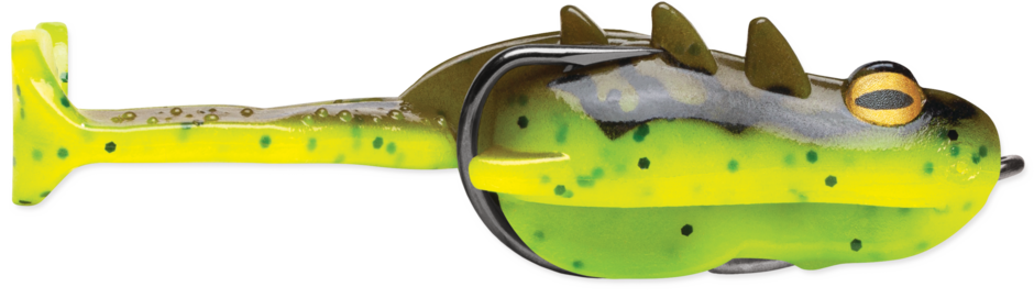Surge Frog