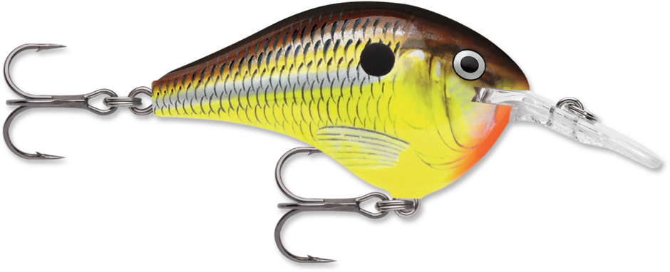 DT® (Dives-To) Series