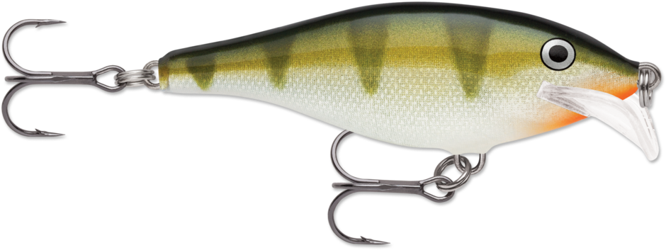 Scatter Rap® Shad
