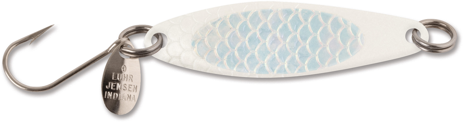 Needlefish