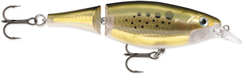 X-Rap® Jointed Shad A5