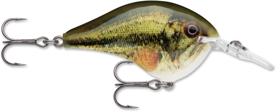 DT® (Dives-To) Series