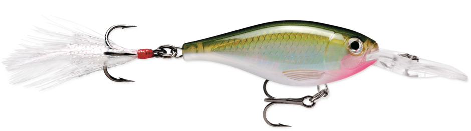 X-Rap® Shad