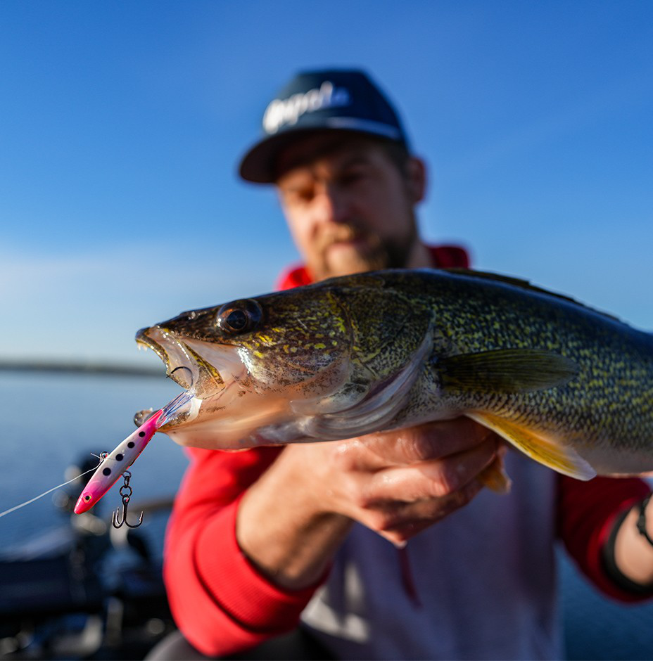 Jigging Shadow Rap