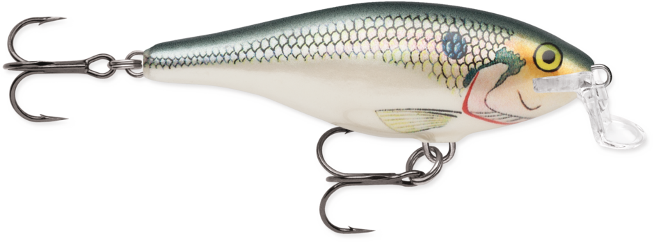 Shallow Shad Rap®