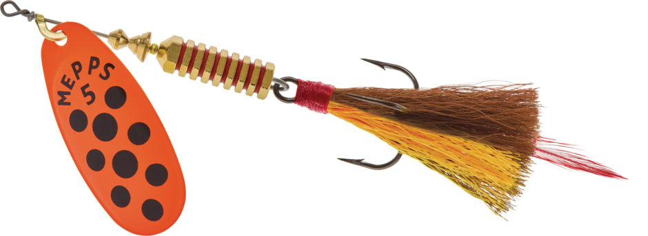 Comet Long Tail