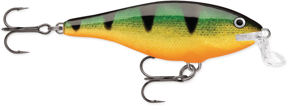 Shallow Shad Rap®