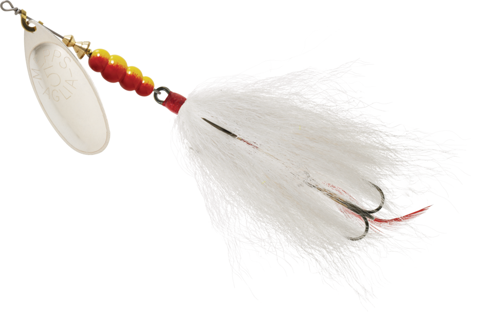Aglia Tandem