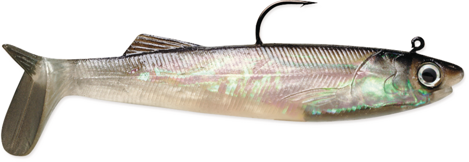 WildEye® Live Anchovy