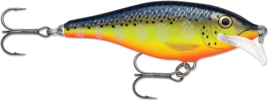 Scatter Rap® Shad