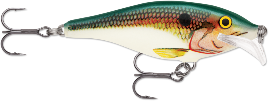 Scatter Rap® Shad