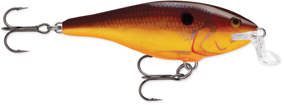 Shallow Shad Rap®