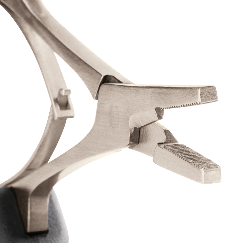 7" Precision Forceps