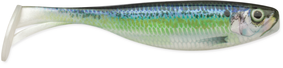 Largo Shad®