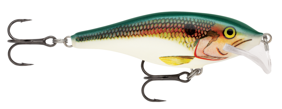 Scatter Rap® Shad