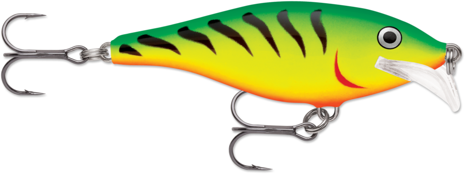 Scatter Rap® Shad