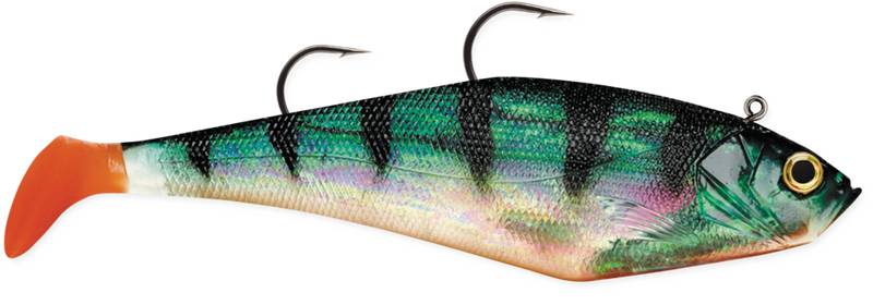 WildEye® Swim Shad D5