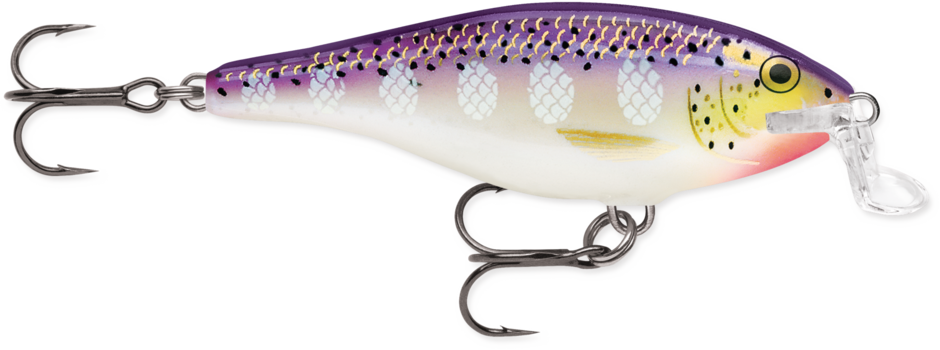 Shallow Shad Rap®
