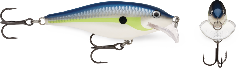Scatter Rap® Shad