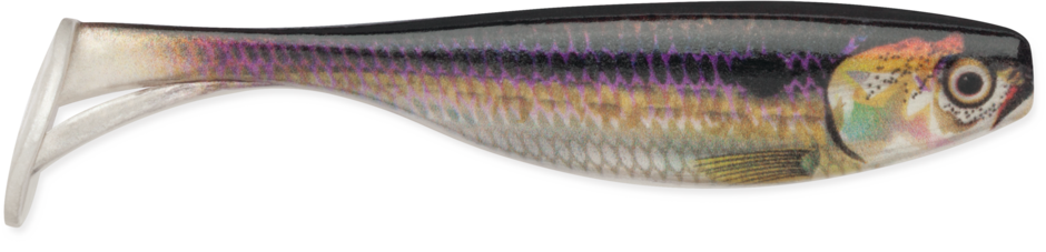 Largo Shad®
