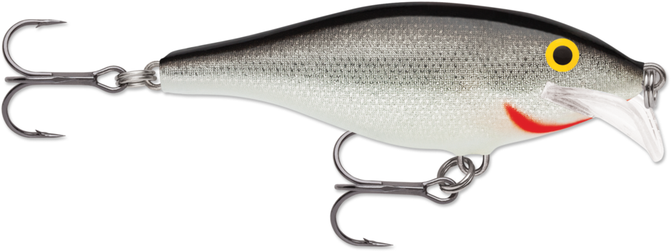 Scatter Rap® Shad