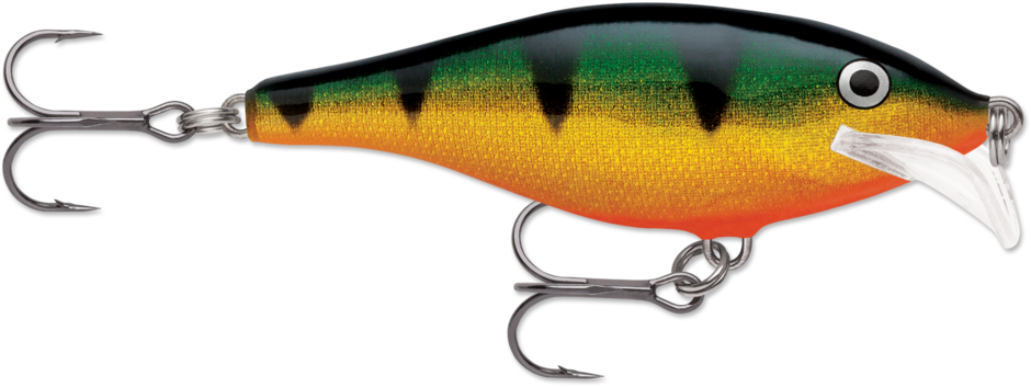 Scatter Rap® Shad
