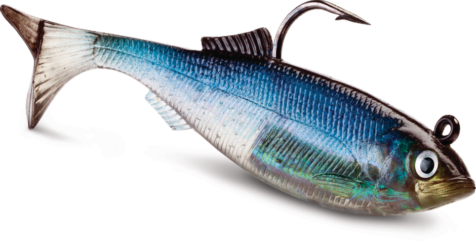 WildEye® Live Herring
