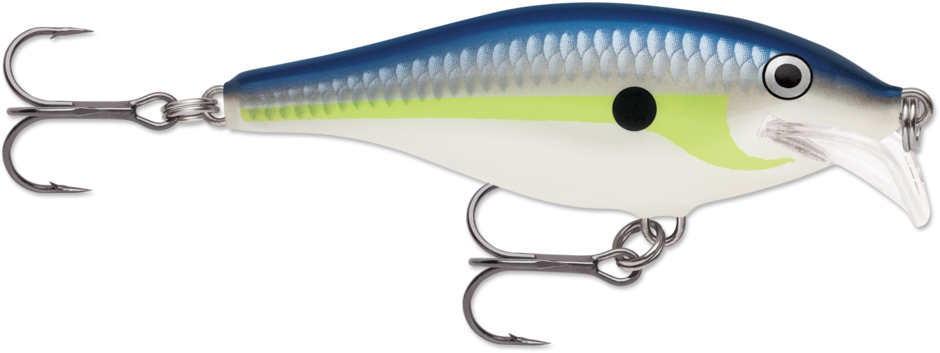 Scatter Rap® Shad